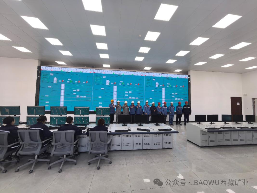 "盐湖奋战&middot;圆梦高原&middot;碳酸锂工厂联动试车启动仪式"